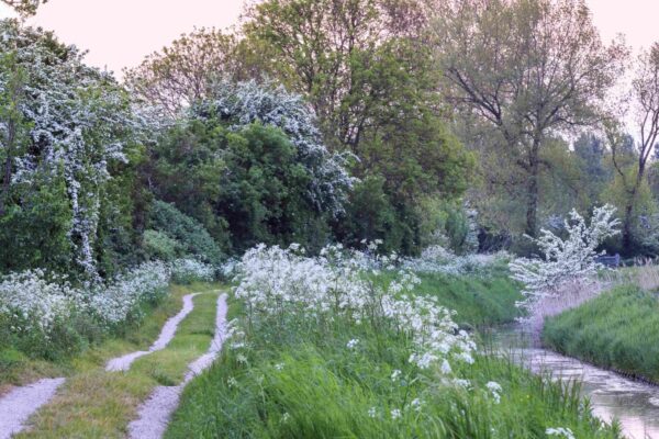 Bloemdijken-van-Zuid-Beveland-NAMO84880